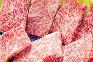 photo_ushi